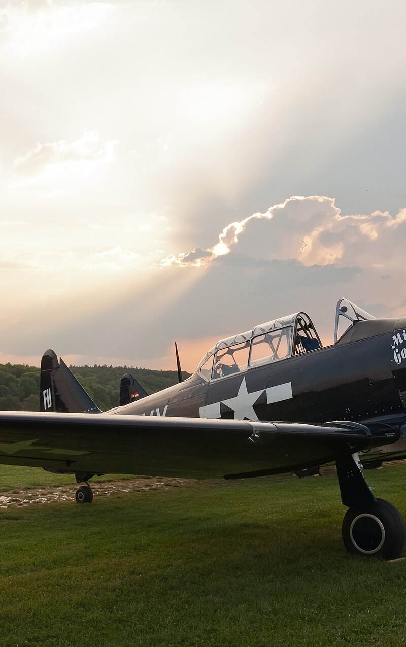 N6593D - Warbird