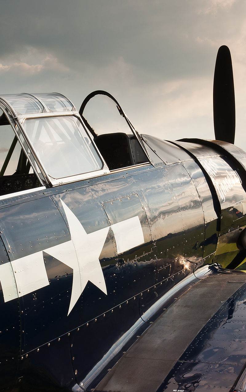 N6593D - Warbird