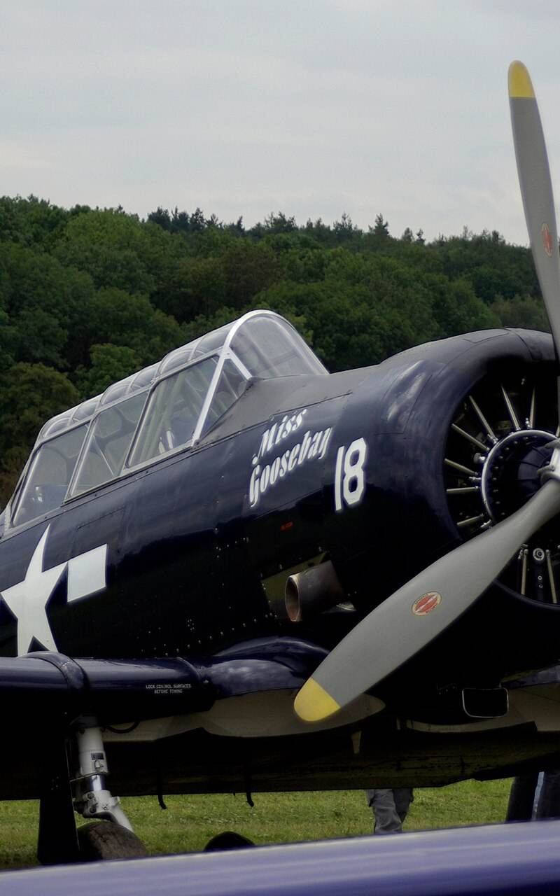 N6593D - Warbird