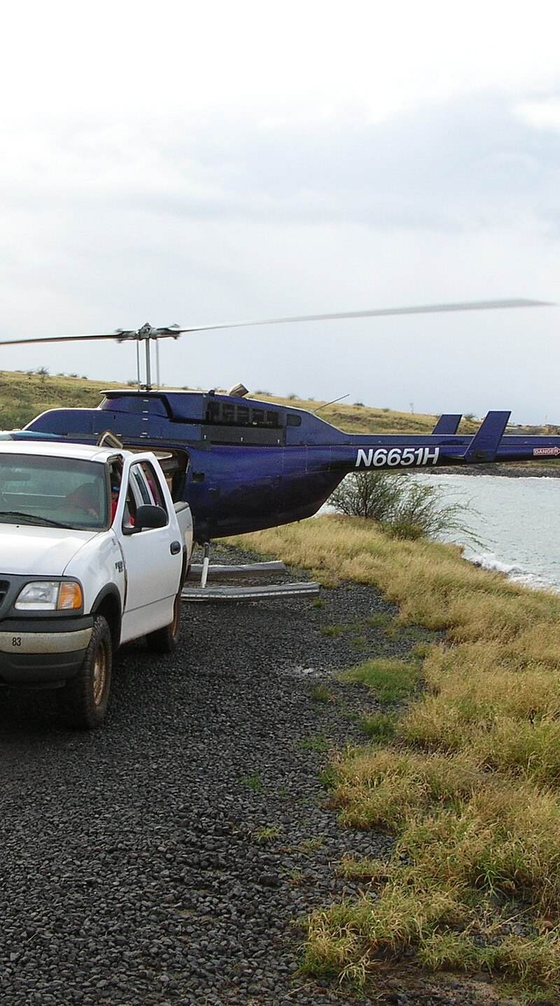 N6651H - Helicopter