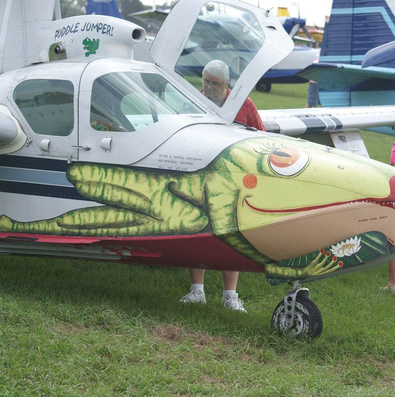 N6686I - Single-engine aircraft