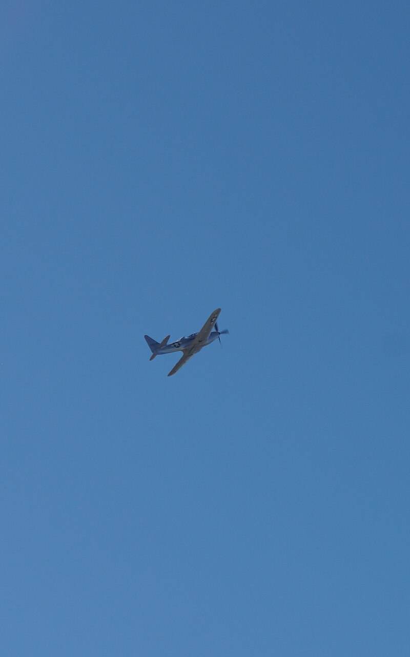 N6763 - Warbird