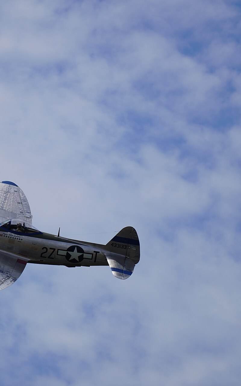  - Warbird