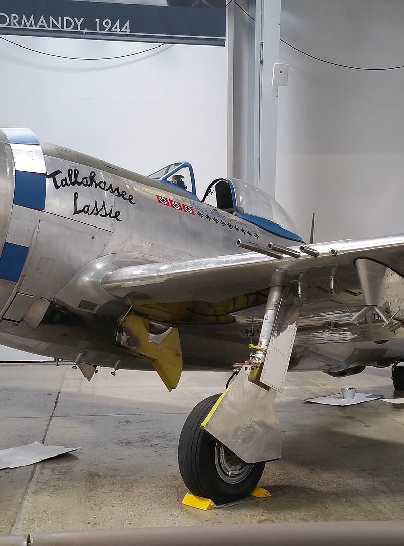  - Warbird