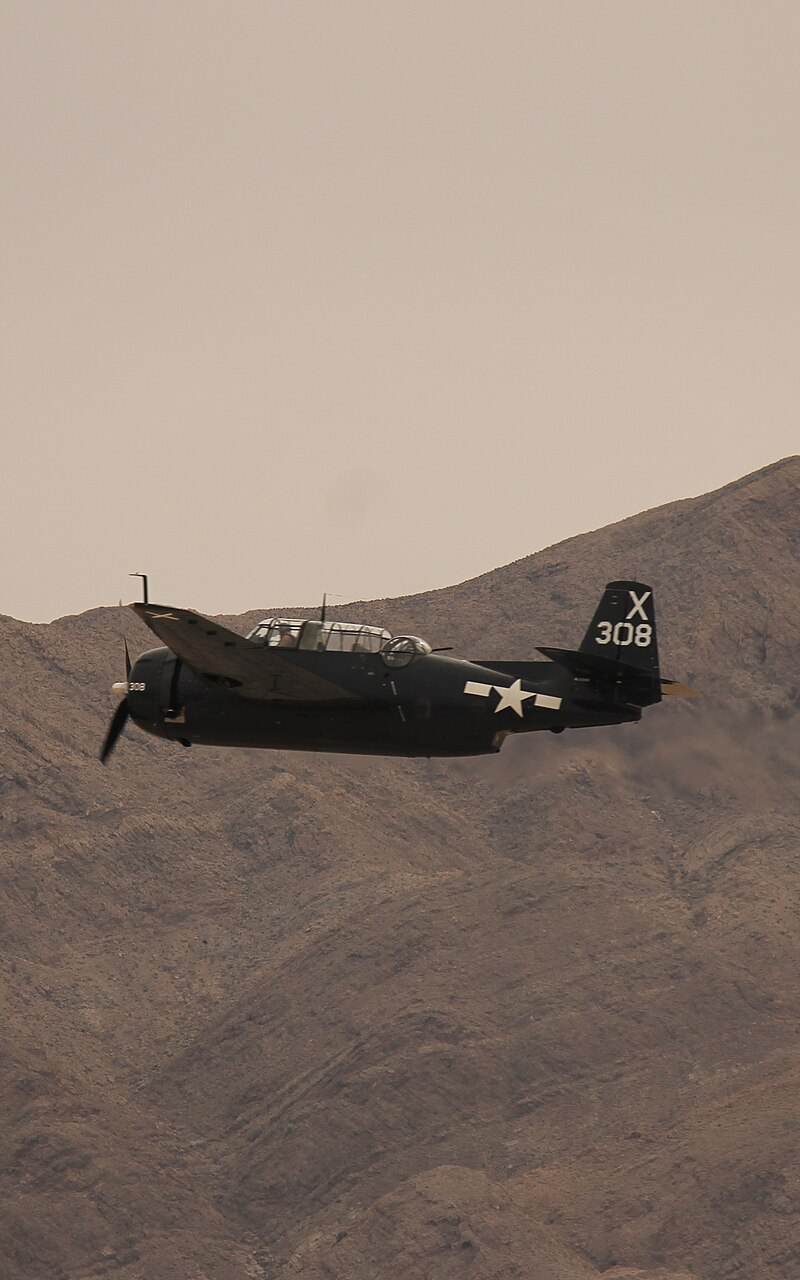  - Warbird