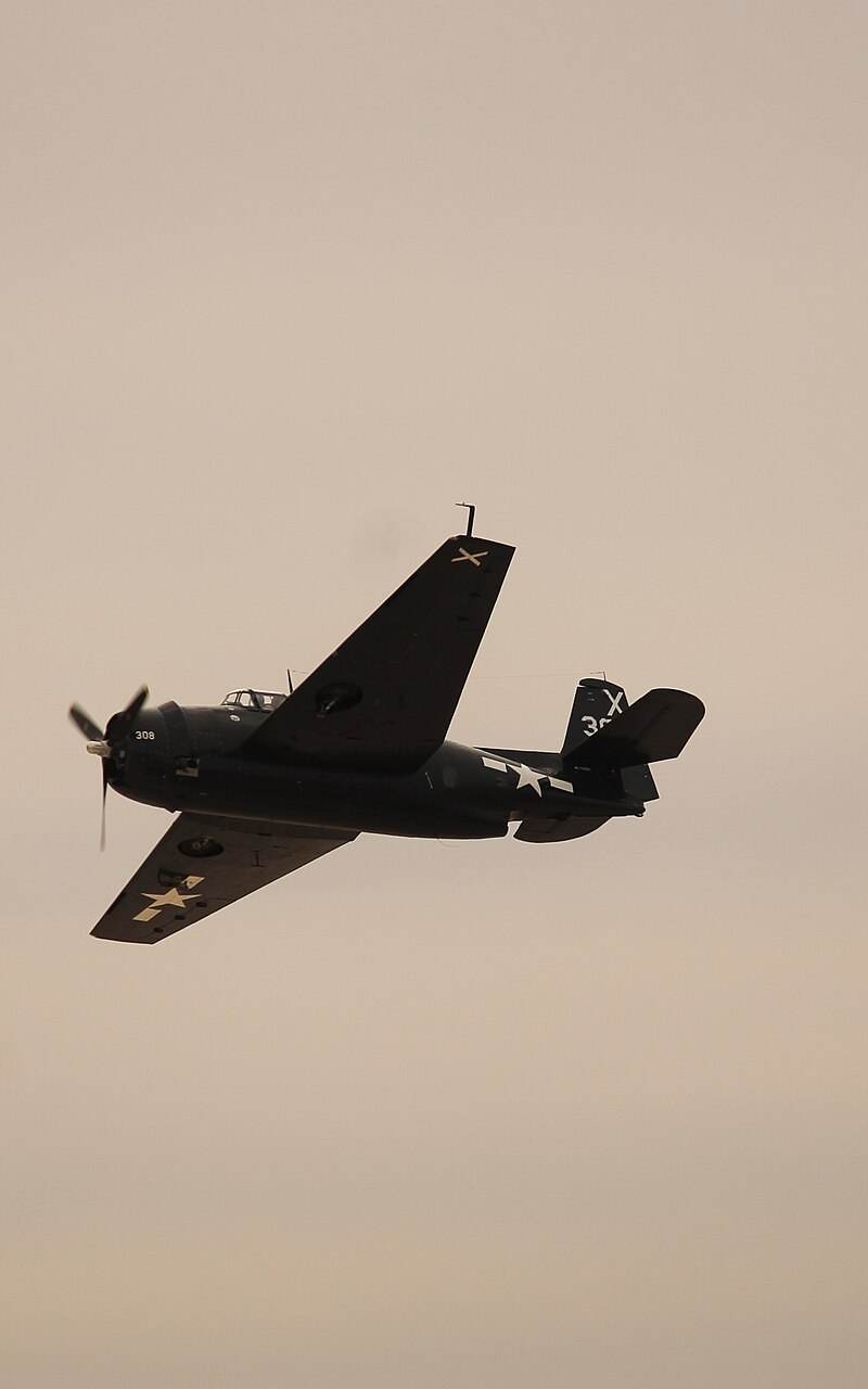  - Single-engine aircraft