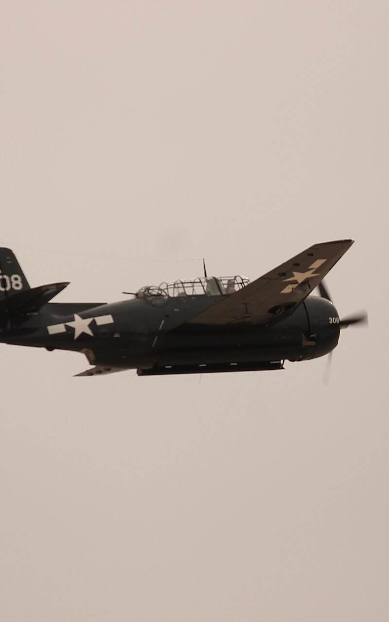  - Warbird