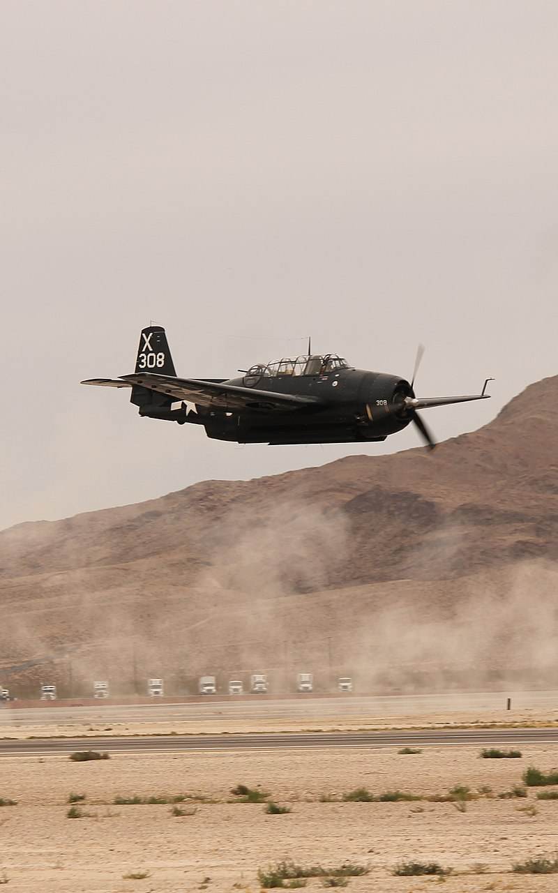  - Single-engine aircraft