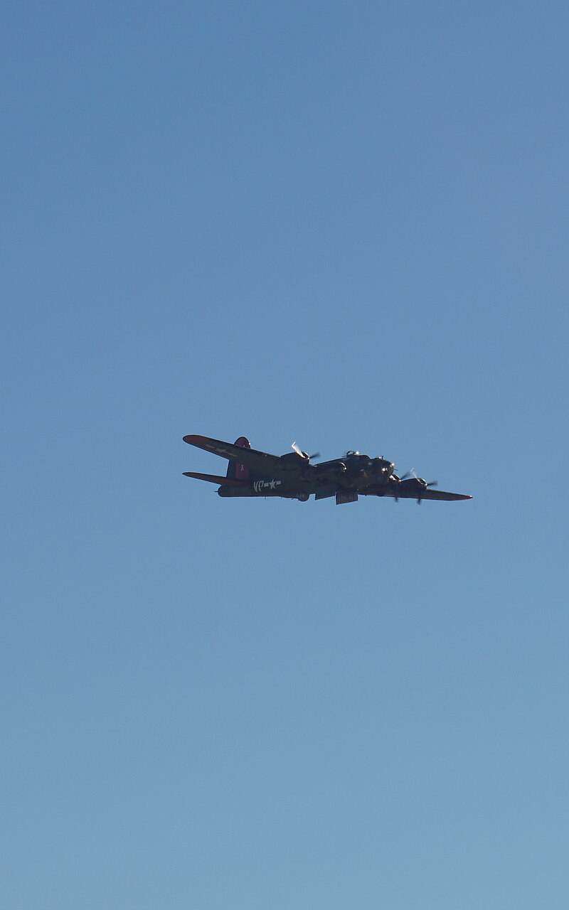  - Warbird