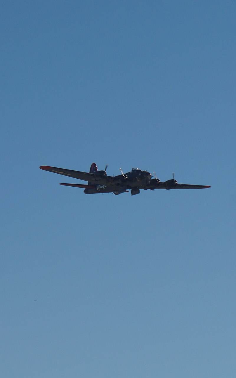  - Warbird