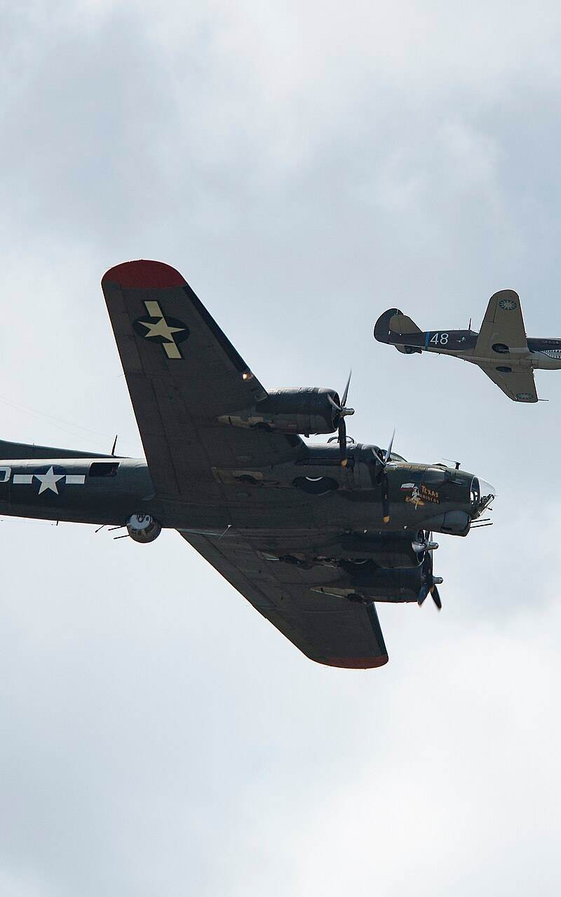 N1226N - Warbird