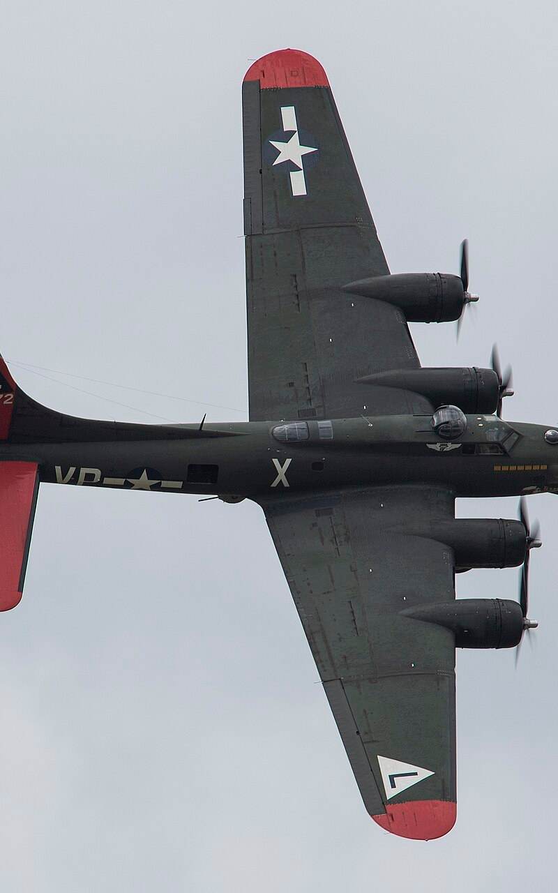 - Warbird