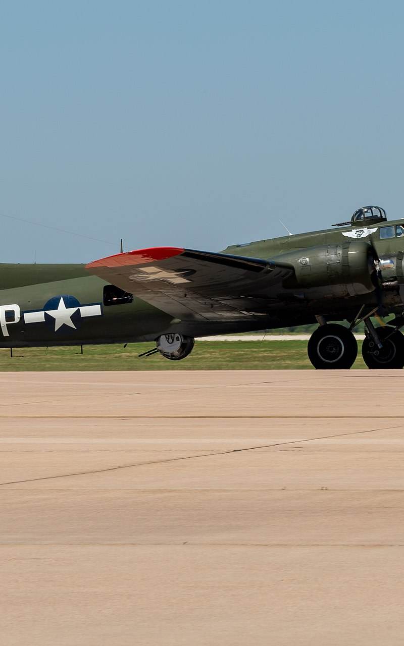  - Warbird