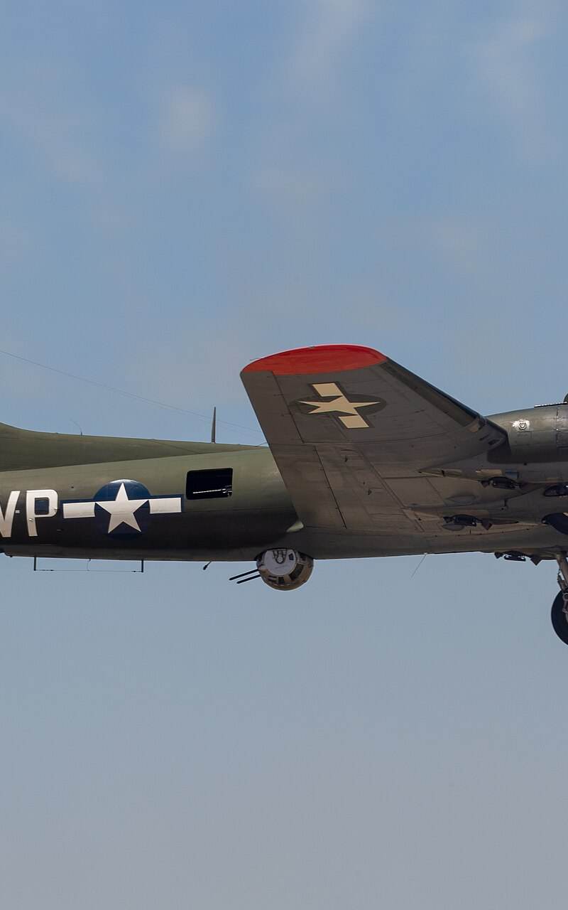  - Warbird
