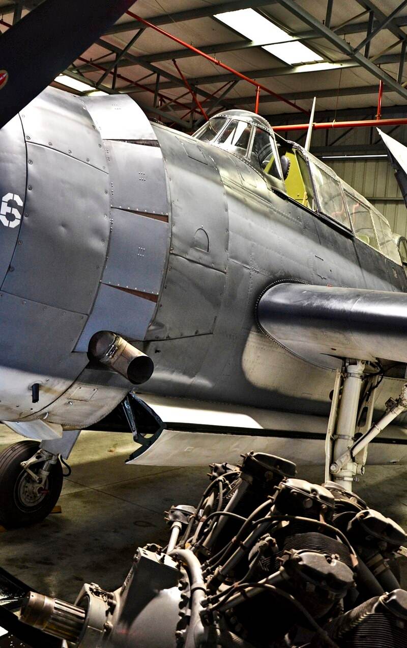 N7835C - Warbird