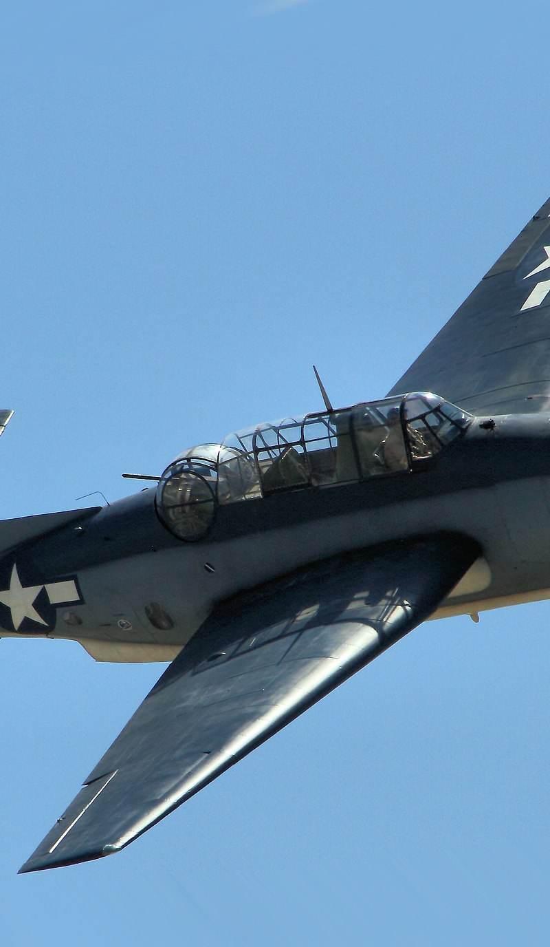  - Single-engine aircraft