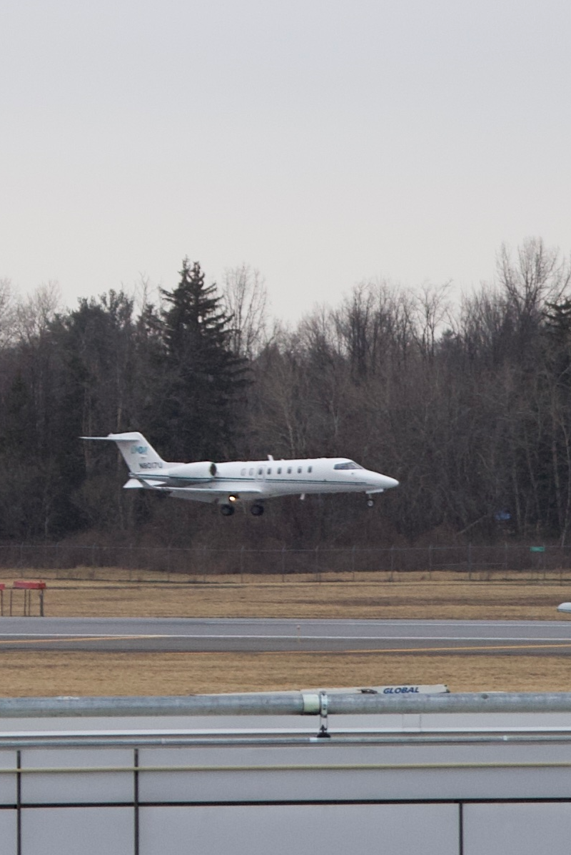 N8017U - Business jet