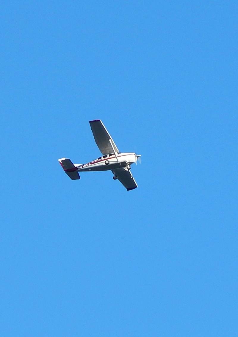 N8180Z - Single-engine aircraft