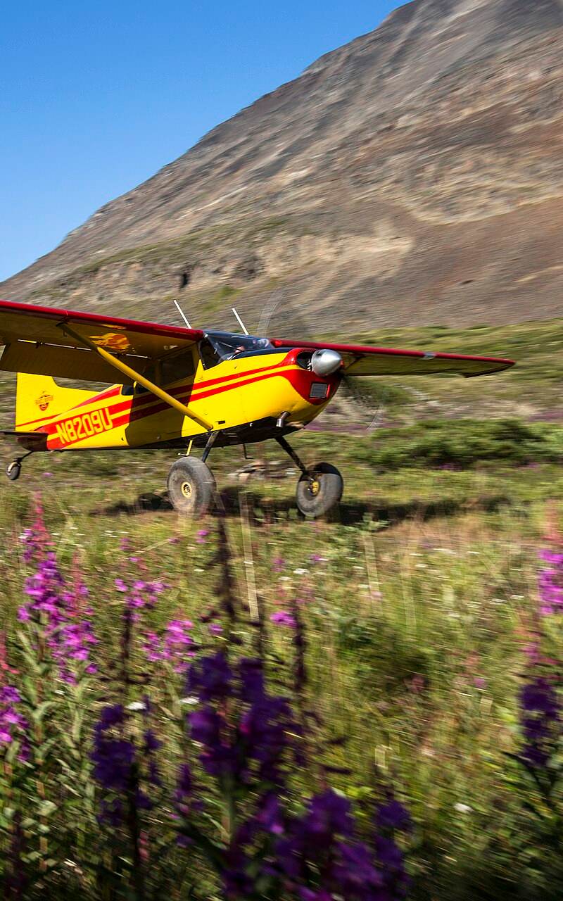 N8209U - Single-engine aircraft
