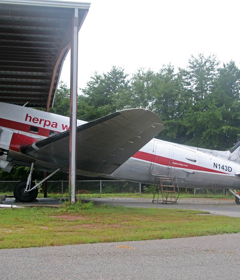 N143D - Douglas