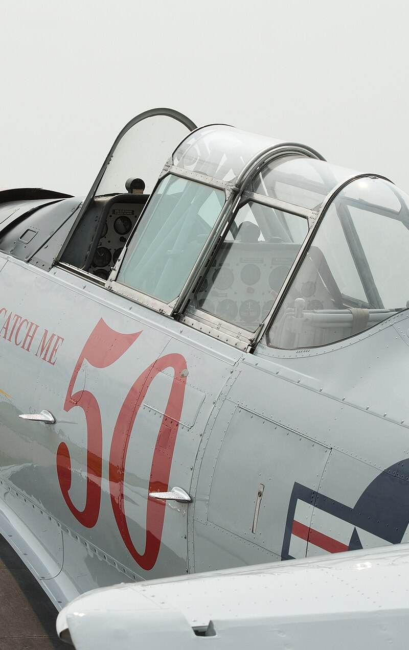 N8539L - Warbird