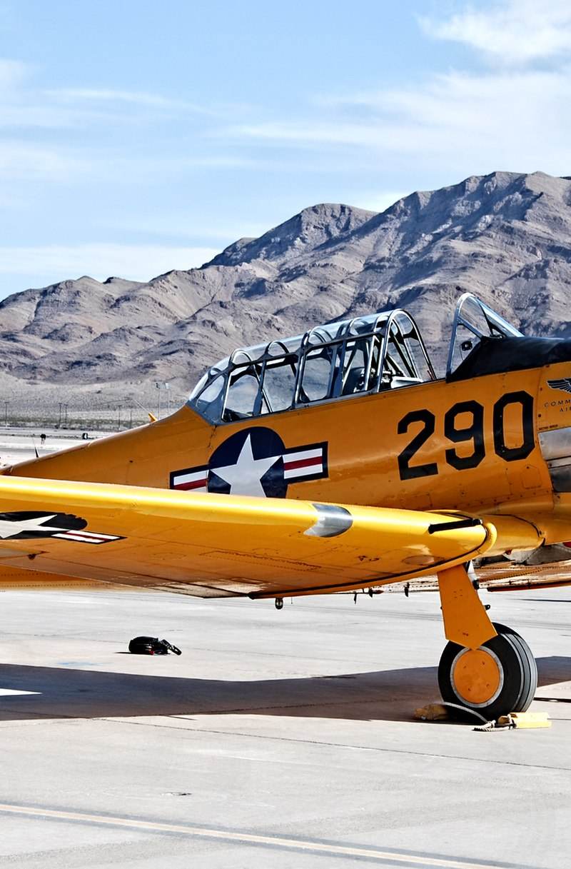 N89014 - Warbird