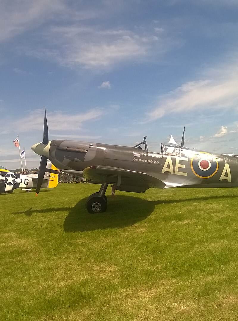  - Warbird