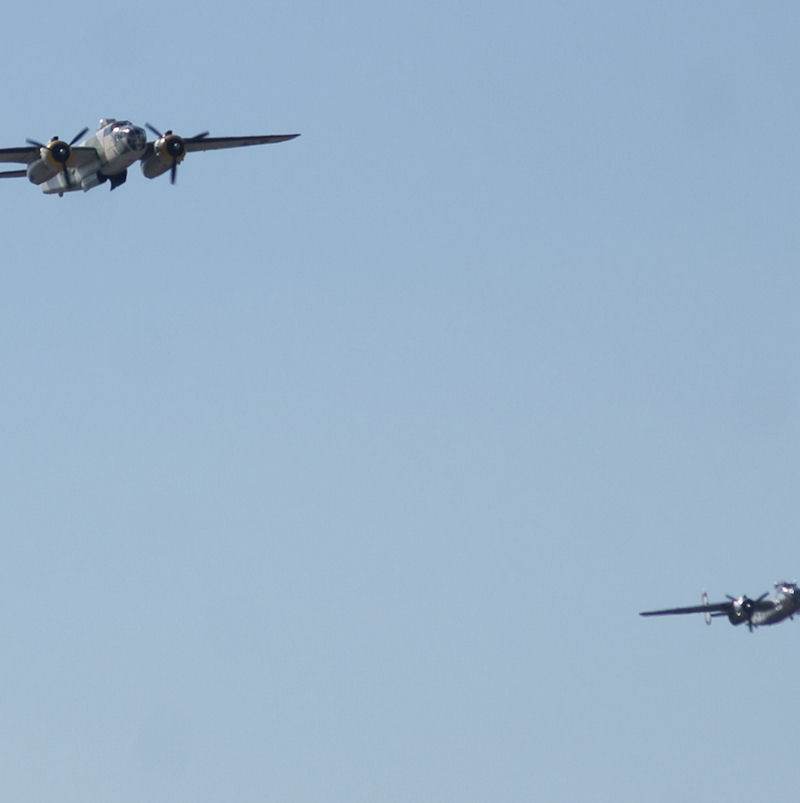  - Warbird