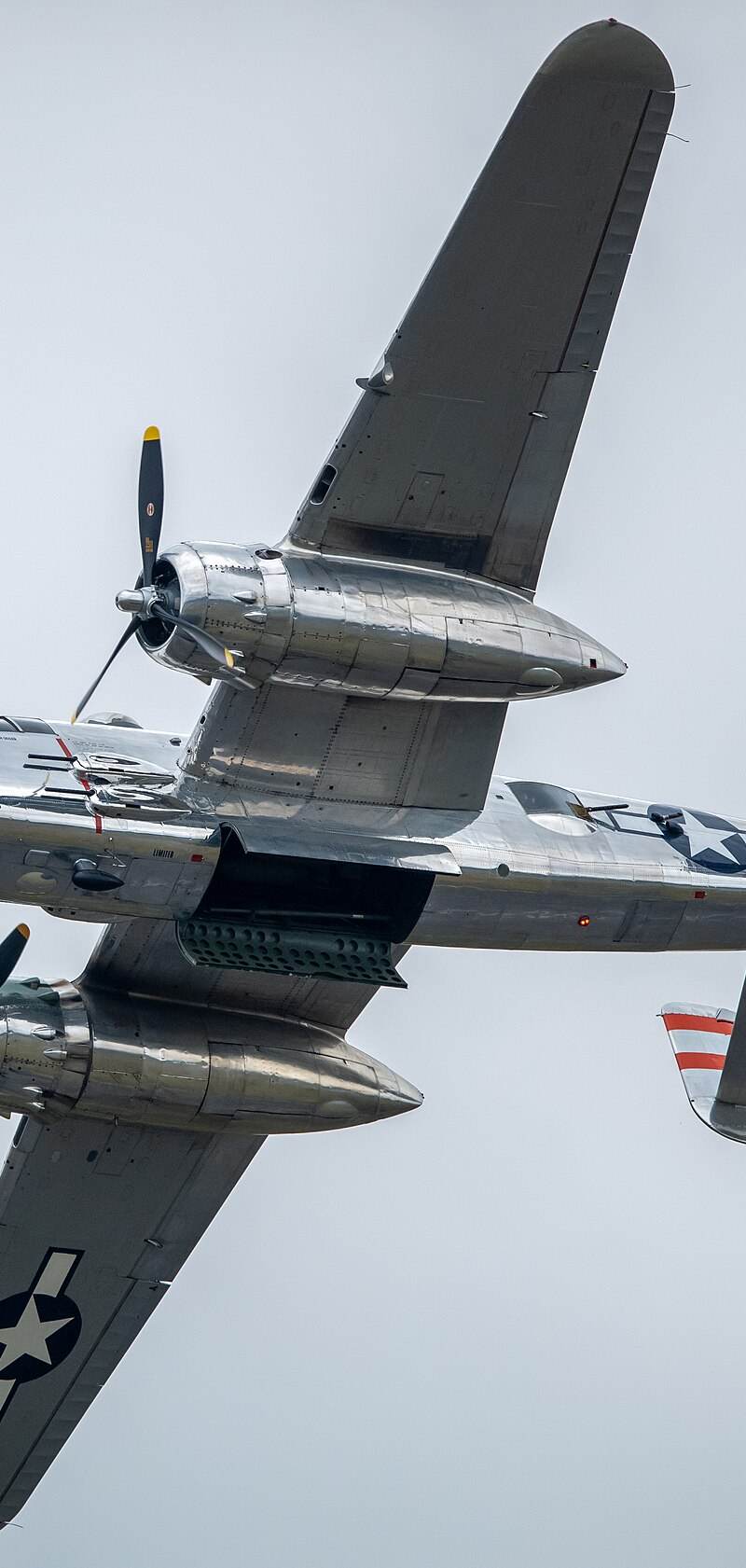  - Warbird