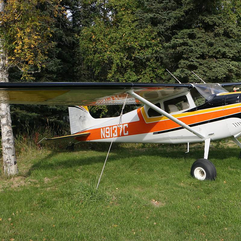 N9137C - Single-engine aircraft
