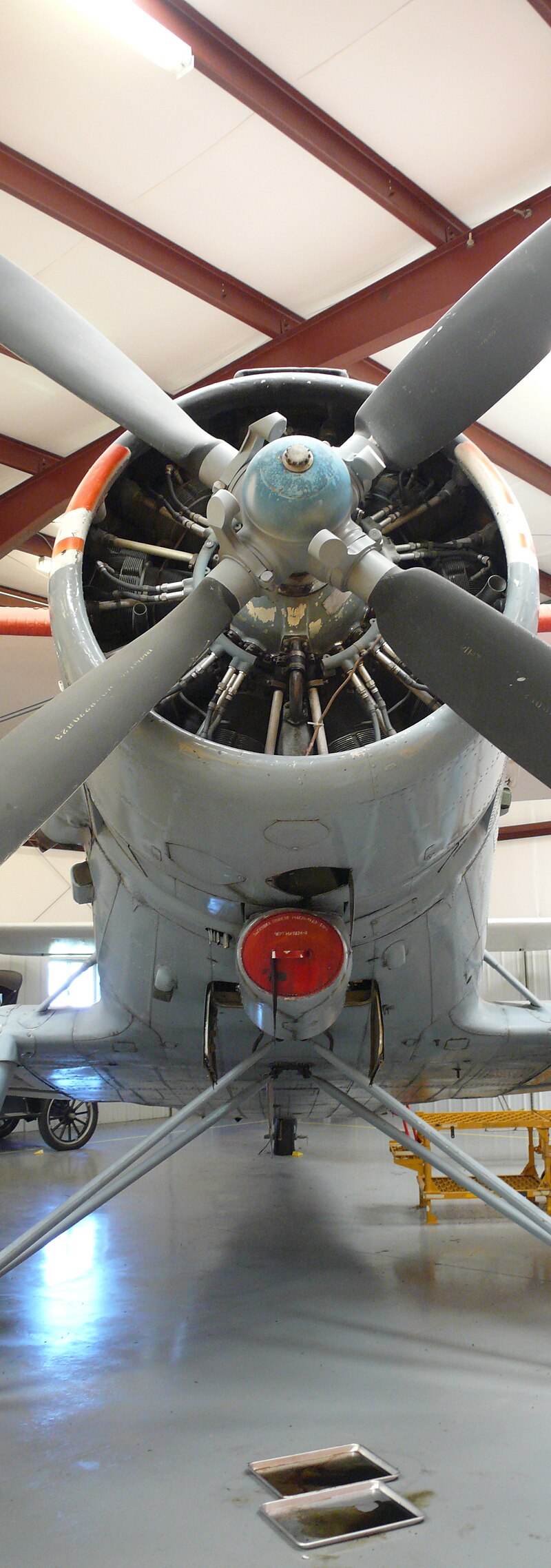 N147AS - Single-engine aircraft