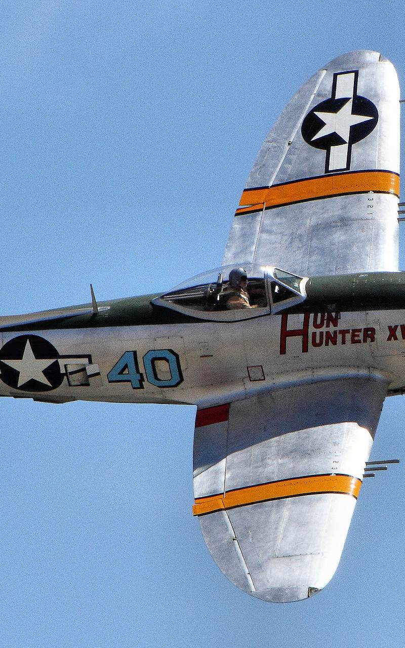  - Warbird