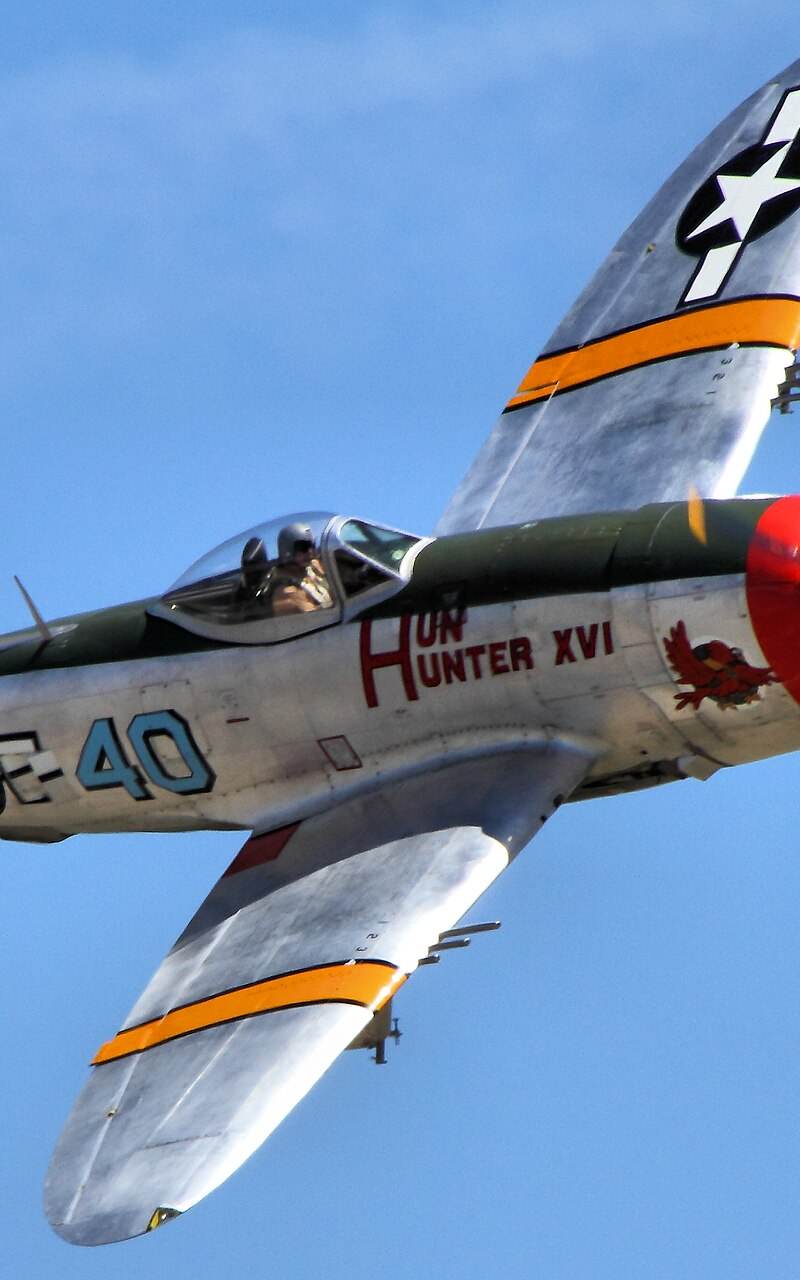  - Warbird
