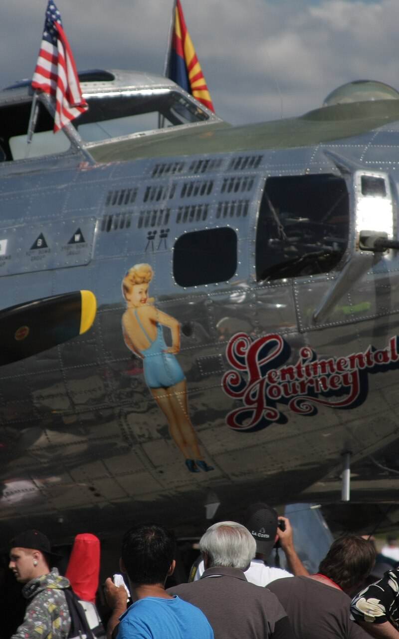  - Warbird