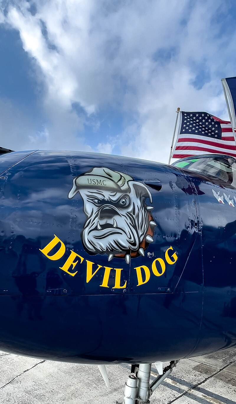  - Warbird