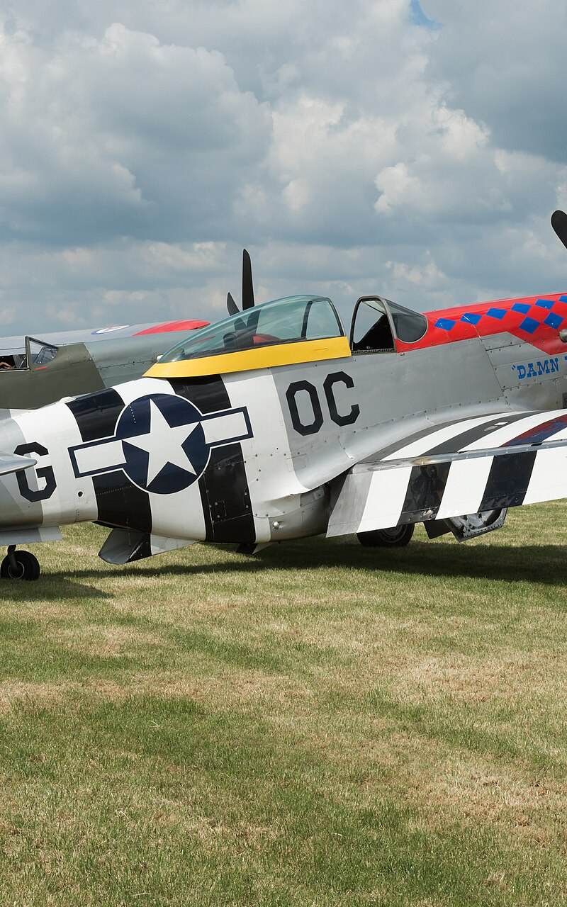 - Warbird