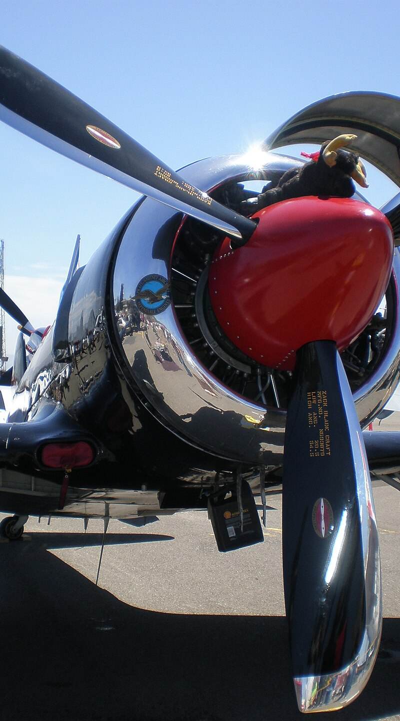 N2124X - Warbird