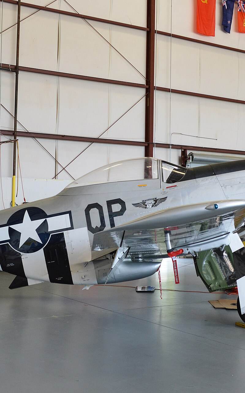  - Warbird