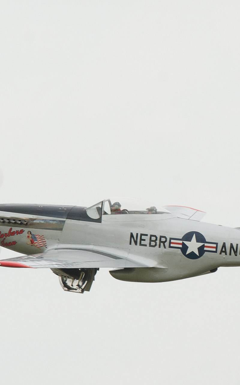 N10607 - Warbird