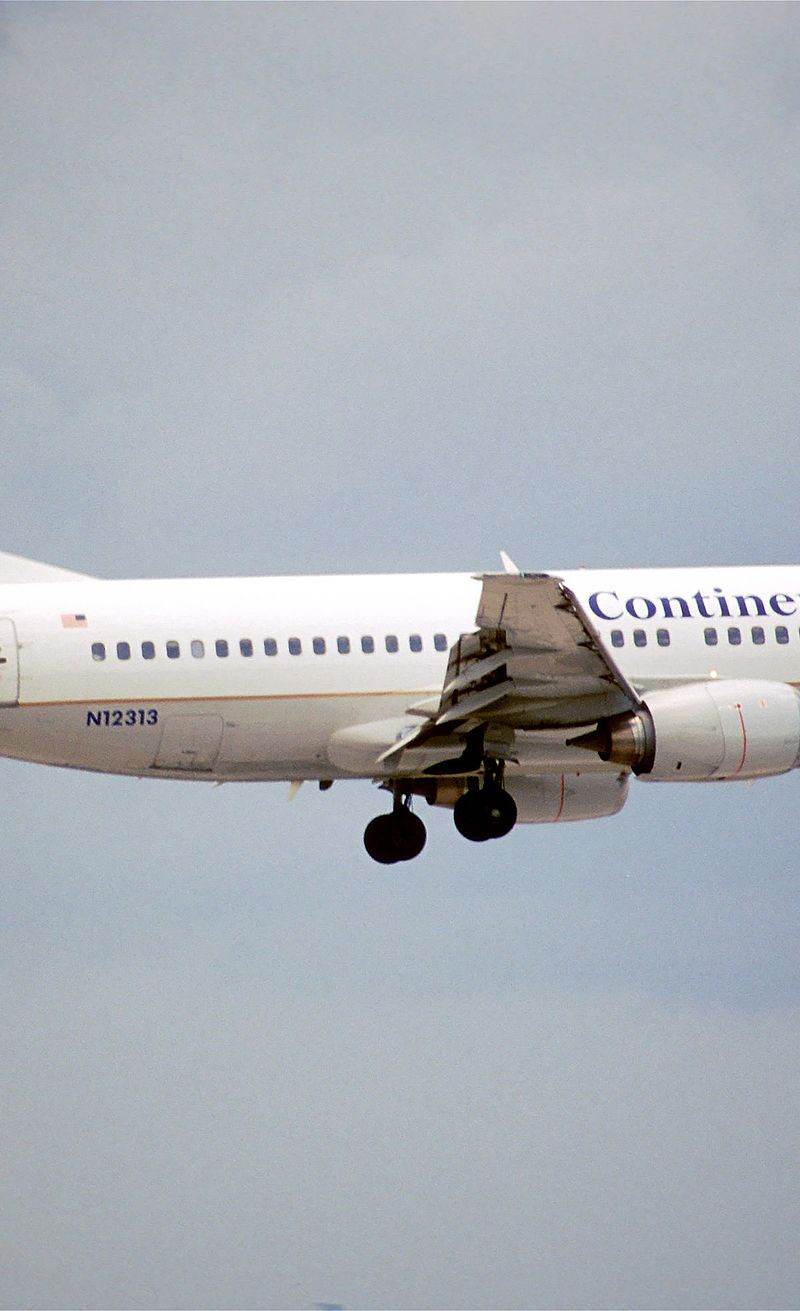 N12313 - Twin-engine aircraft