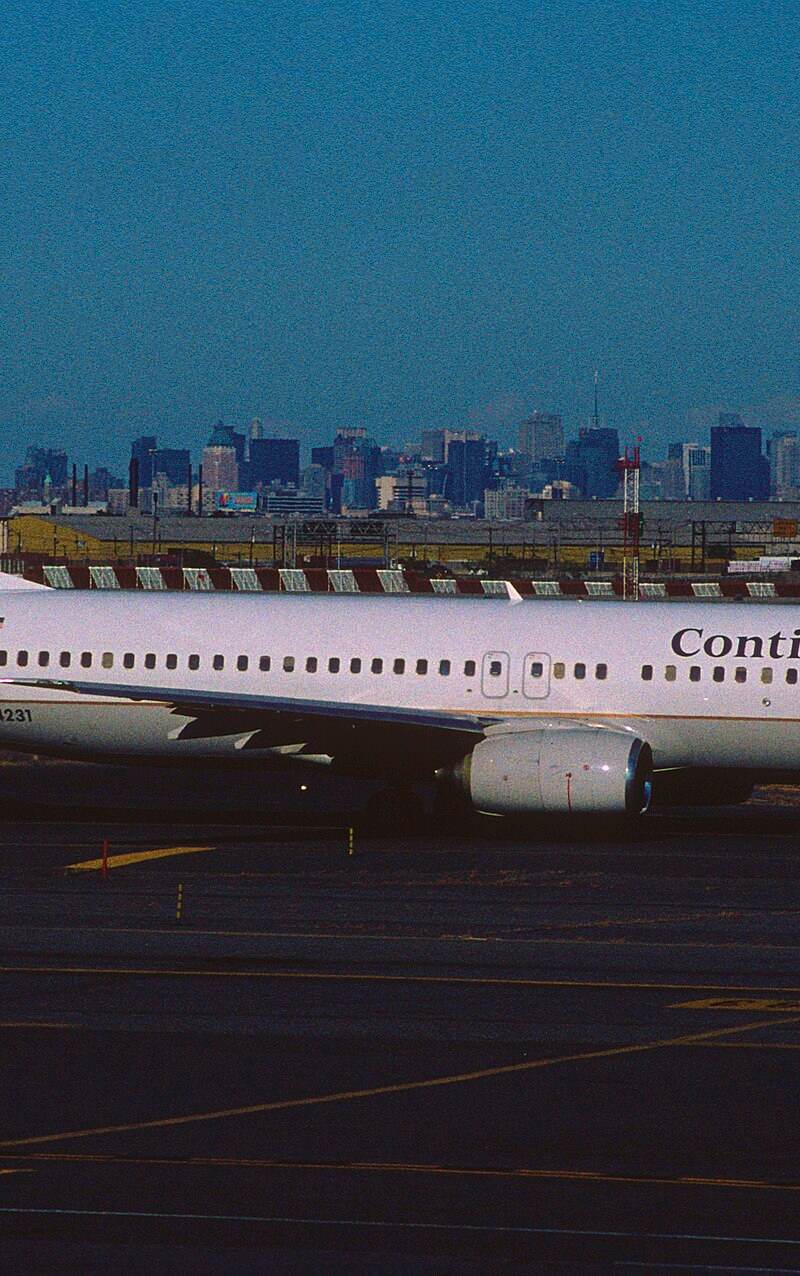 N14231 - Twin-engine aircraft