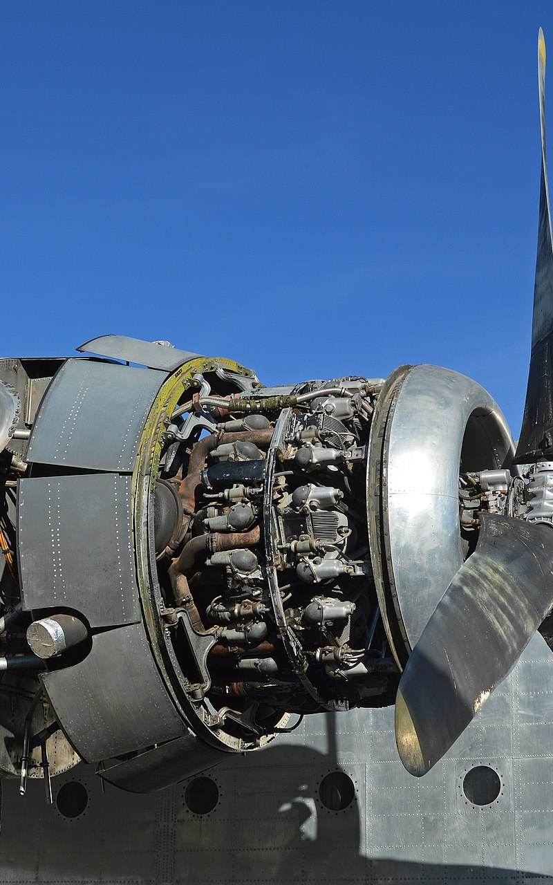 N15501 - Warbird