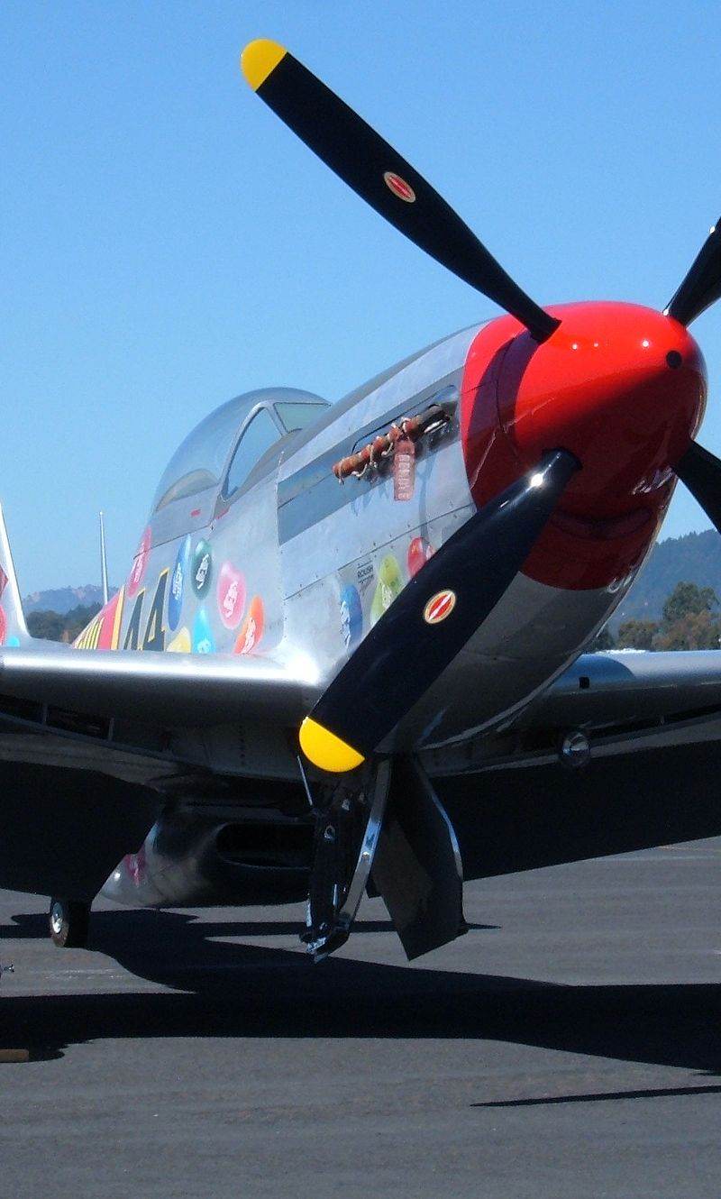  - Warbird