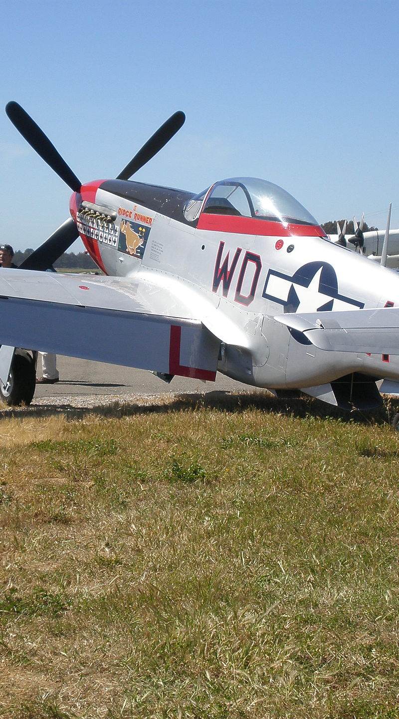  - Warbird