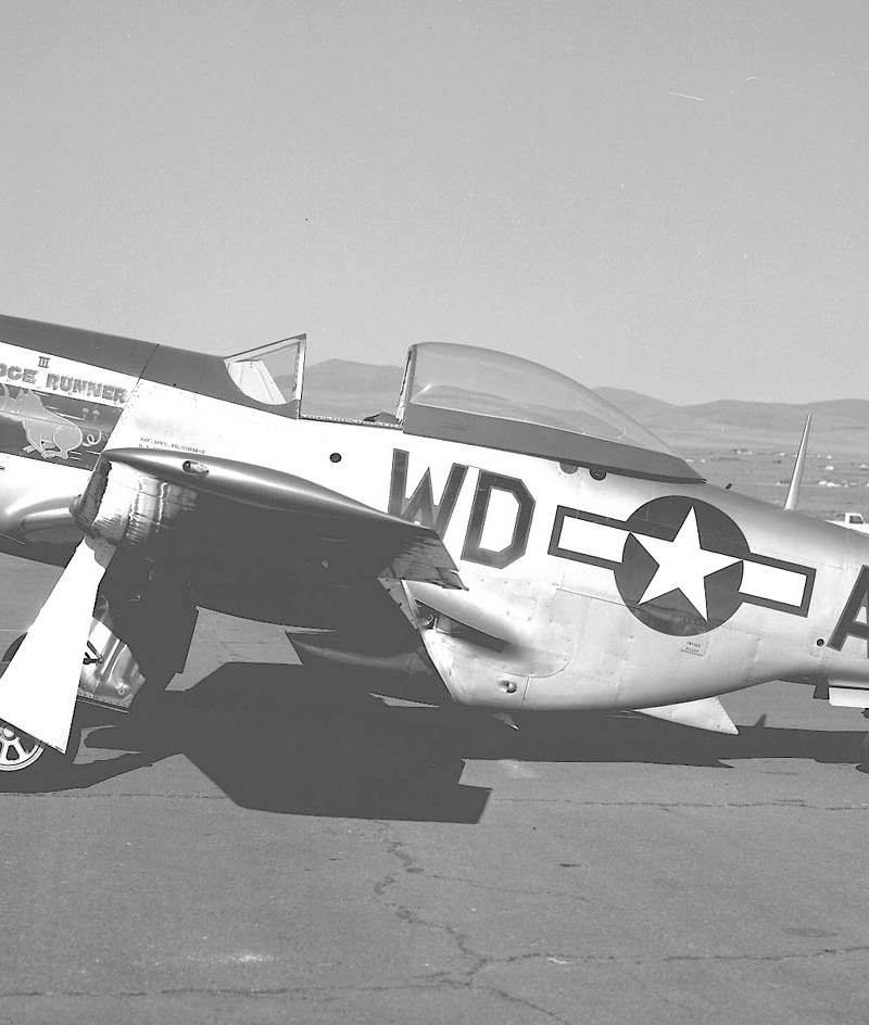  - Warbird