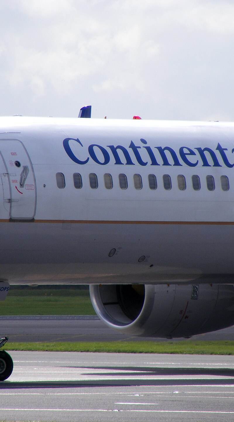 N17133 - Twin-engine aircraft