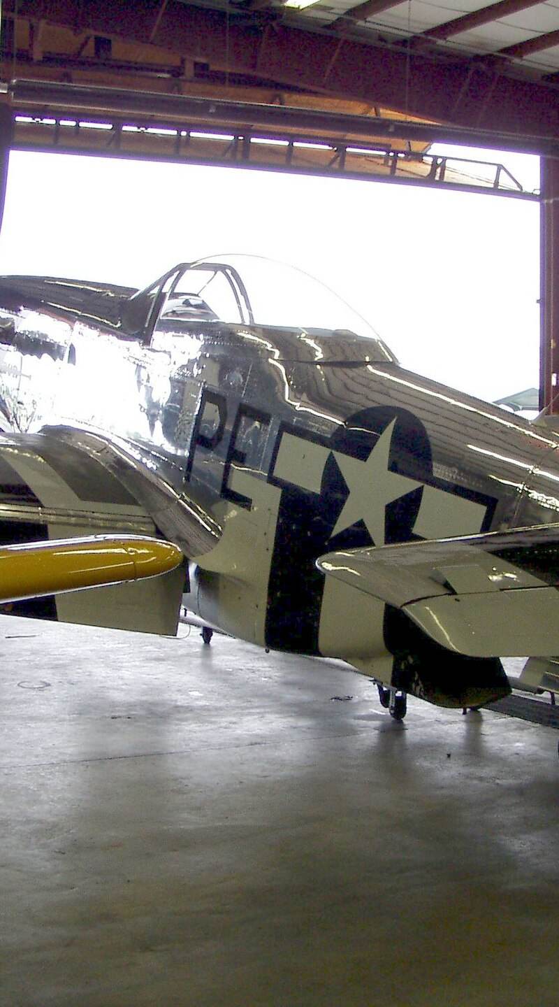  - Warbird