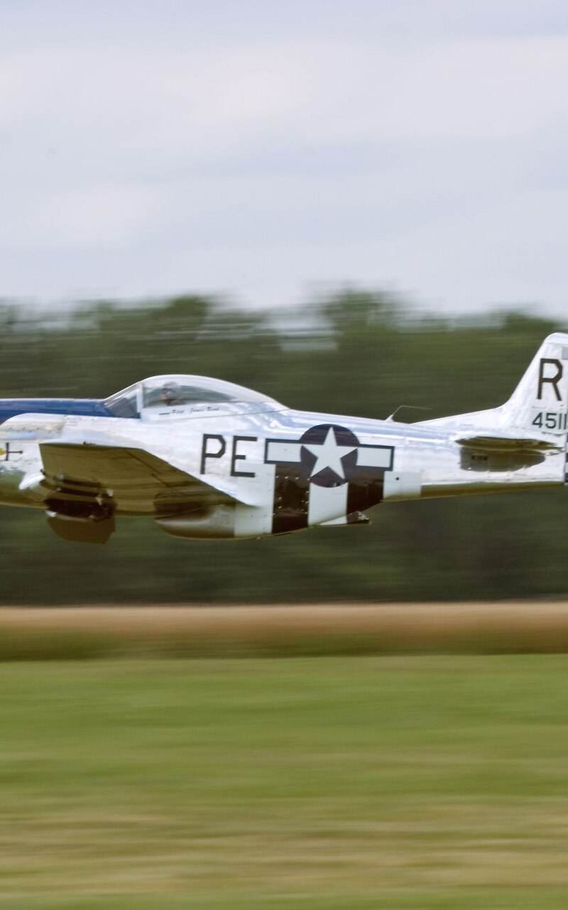  - Warbird