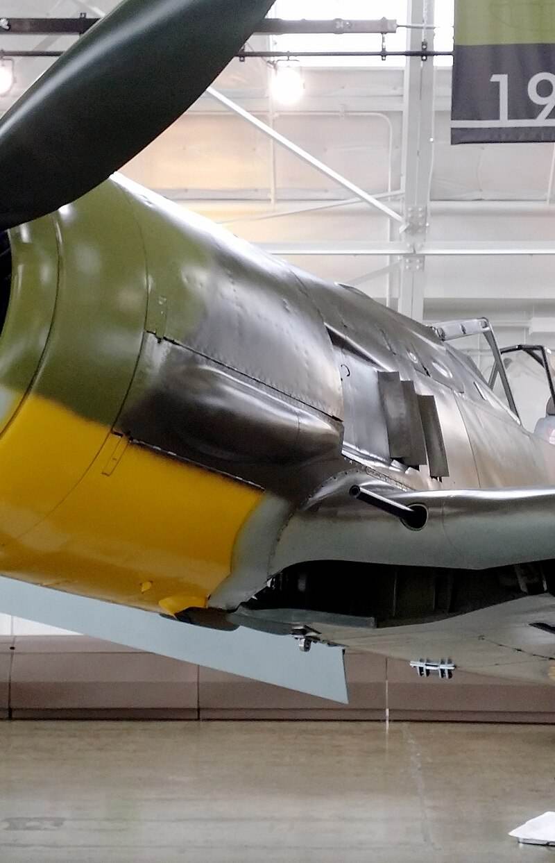  - Warbird