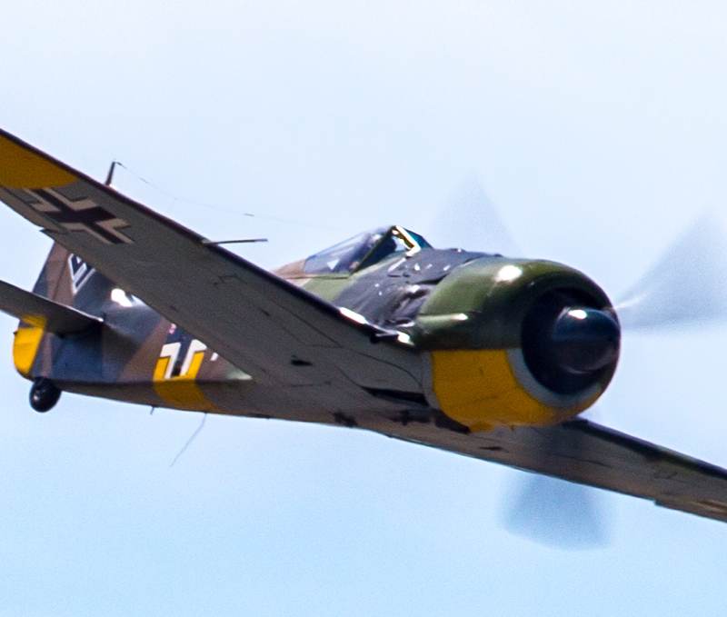  - Warbird